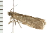  ( - PPBP-1940)  @12 [ ] CreativeCommons - Attribution (2008) Unspecified Centre for Biodiversity Genomics