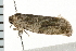  ( - 08BBLEP-04050)  @12 [ ] CreativeCommons - Attribution (2009) Unspecified Centre for Biodiversity Genomics