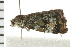  ( - 08BBLEP-05930)  @12 [ ] CreativeCommons - Attribution (2009) Unspecified Centre for Biodiversity Genomics