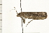  ( - PPBP-2200)  @12 [ ] CreativeCommons - Attribution (2008) Unspecified Centre for Biodiversity Genomics