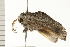  ( - PPBP-2216)  @13 [ ] CreativeCommons - Attribution (2008) Unspecified Centre for Biodiversity Genomics