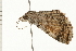  ( - PPBP-2223)  @14 [ ] CreativeCommons - Attribution (2008) Unspecified Centre for Biodiversity Genomics