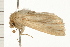  ( - PPBP-2228)  @14 [ ] CreativeCommons - Attribution (2008) Unspecified Centre for Biodiversity Genomics