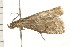  ( - PPBP-2265)  @12 [ ] CreativeCommons - Attribution (2008) Unspecified Centre for Biodiversity Genomics