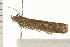  ( - PPBP-2267)  @12 [ ] CreativeCommons - Attribution (2008) Unspecified Centre for Biodiversity Genomics