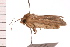  ( - PPBP-2336)  @14 [ ] CreativeCommons - Attribution (2008) Unspecified Centre for Biodiversity Genomics