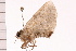  ( - PPBP-2364)  @12 [ ] CreativeCommons - Attribution (2008) Unspecified Centre for Biodiversity Genomics