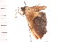  ( - PPBP-2385)  @13 [ ] CreativeCommons - Attribution (2008) Unspecified Centre for Biodiversity Genomics