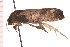  ( - PPBP-2419)  @12 [ ] CreativeCommons - Attribution (2008) Unspecified Centre for Biodiversity Genomics
