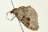  ( - 08BBLEP-00220)  @12 [ ] CreativeCommons - Attribution (2009) Unspecified Centre for Biodiversity Genomics