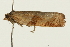  ( - 08BBLEP-00226)  @12 [ ] CreativeCommons - Attribution (2009) Unspecified Centre for Biodiversity Genomics