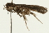  ( - 08BBLEP-00604)  @12 [ ] CreativeCommons - Attribution (2009) Unspecified Centre for Biodiversity Genomics