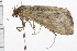  ( - 08BBLEP-00045)  @12 [ ] CreativeCommons - Attribution (2009) Unspecified Centre for Biodiversity Genomics