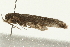  ( - 08BBLEP-00324)  @12 [ ] CreativeCommons - Attribution (2009) Unspecified Centre for Biodiversity Genomics