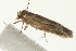  ( - 08BBLEP-00326)  @12 [ ] CreativeCommons - Attribution (2009) Unspecified Centre for Biodiversity Genomics