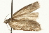  ( - 08BBLEP-00446)  @12 [ ] CreativeCommons - Attribution (2009) Unspecified Centre for Biodiversity Genomics