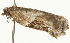  ( - 08BBLEP-00448)  @12 [ ] CreativeCommons - Attribution (2009) Unspecified Centre for Biodiversity Genomics