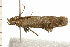  ( - 08BBLEP-04005)  @12 [ ] CreativeCommons - Attribution (2009) Unspecified Centre for Biodiversity Genomics