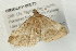  ( - 08BBLEP-00573)  @13 [ ] CreativeCommons - Attribution (2009) Unspecified Centre for Biodiversity Genomics