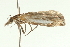  ( - 08BBLEP-05619)  @12 [ ] CreativeCommons - Attribution (2009) Unspecified Centre for Biodiversity Genomics