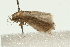  ( - 08BBLEP-05936)  @13 [ ] CreativeCommons - Attribution (2009) Unspecified Centre for Biodiversity Genomics