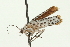  ( - 08MZPP-142)  @12 [ ] CreativeCommons - Attribution (2009) Unspecified Centre for Biodiversity Genomics