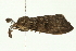 ( - 08MZPP-148)  @12 [ ] CreativeCommons - Attribution (2009) Unspecified Centre for Biodiversity Genomics