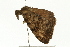  ( - 08MZPP-150)  @12 [ ] CreativeCommons - Attribution (2009) Unspecified Centre for Biodiversity Genomics