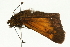  ( - 08BBLEP-00183)  @12 [ ] CreativeCommons - Attribution (2009) Unspecified Centre for Biodiversity Genomics