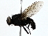  ( - BIOUG79401-A04)  @11 [ ] CreativeCommons - Attribution (2022) CBG Photography Group Centre for Biodiversity Genomics