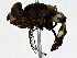  ( - BIOUG79407-H03)  @11 [ ] CreativeCommons - Attribution (2022) CBG Photography Group Centre for Biodiversity Genomics