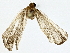  ( - BIOUG79408-A02)  @11 [ ] CreativeCommons - Attribution (2022) CBG Photography Group Centre for Biodiversity Genomics