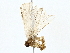  ( - BIOUG79408-A09)  @11 [ ] CreativeCommons - Attribution (2022) CBG Photography Group Centre for Biodiversity Genomics