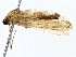  ( - BIOUG79408-A10)  @11 [ ] CreativeCommons - Attribution (2022) CBG Photography Group Centre for Biodiversity Genomics