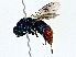  ( - BIOUG79408-E11)  @11 [ ] CreativeCommons - Attribution (2022) CBG Photography Group Centre for Biodiversity Genomics