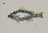  ( - BaL2_Lpu)  @11 [ ] Unspecified (default): All Rights Reserved  Unspecified Unspecified