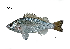  ( - LDB14_Lpu)  @11 [ ] Unspecified (default): All Rights Reserved  Unspecified Unspecified