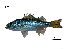  ( - NL25_Lpu)  @11 [ ] Unspecified (default): All Rights Reserved  Unspecified Unspecified