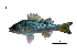  ( - NL6_Lpu)  @11 [ ] Unspecified (default): All Rights Reserved  Unspecified Unspecified