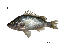  ( - PL1_Lpu)  @11 [ ] Unspecified (default): All Rights Reserved  Unspecified Unspecified
