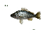  ( - PL10_Lpu)  @11 [ ] Unspecified (default): All Rights Reserved  Unspecified Unspecified