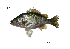 ( - PL2_Lpu)  @11 [ ] Unspecified (default): All Rights Reserved  Unspecified Unspecified