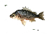  ( - PL21_Lpu)  @11 [ ] Unspecified (default): All Rights Reserved  Unspecified Unspecified