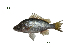  ( - PL3_Lpu)  @11 [ ] Unspecified (default): All Rights Reserved  Unspecified Unspecified