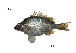  ( - PL6_Lpu)  @11 [ ] Unspecified (default): All Rights Reserved  Unspecified Unspecified