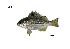  ( - PQL8_Lpu)  @11 [ ] Unspecified (default): All Rights Reserved  Unspecified Unspecified