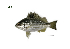  ( - PQL9_Lpu)  @11 [ ] Unspecified (default): All Rights Reserved  Unspecified Unspecified