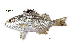  ( - PQW28_Lpu)  @11 [ ] Unspecified (default): All Rights Reserved  Unspecified Unspecified