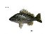  ( - SL14_Lpu)  @11 [ ] Unspecified (default): All Rights Reserved  Unspecified Unspecified