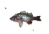  ( - SLp1_Lpu)  @11 [ ] Unspecified (default): All Rights Reserved  Unspecified Unspecified